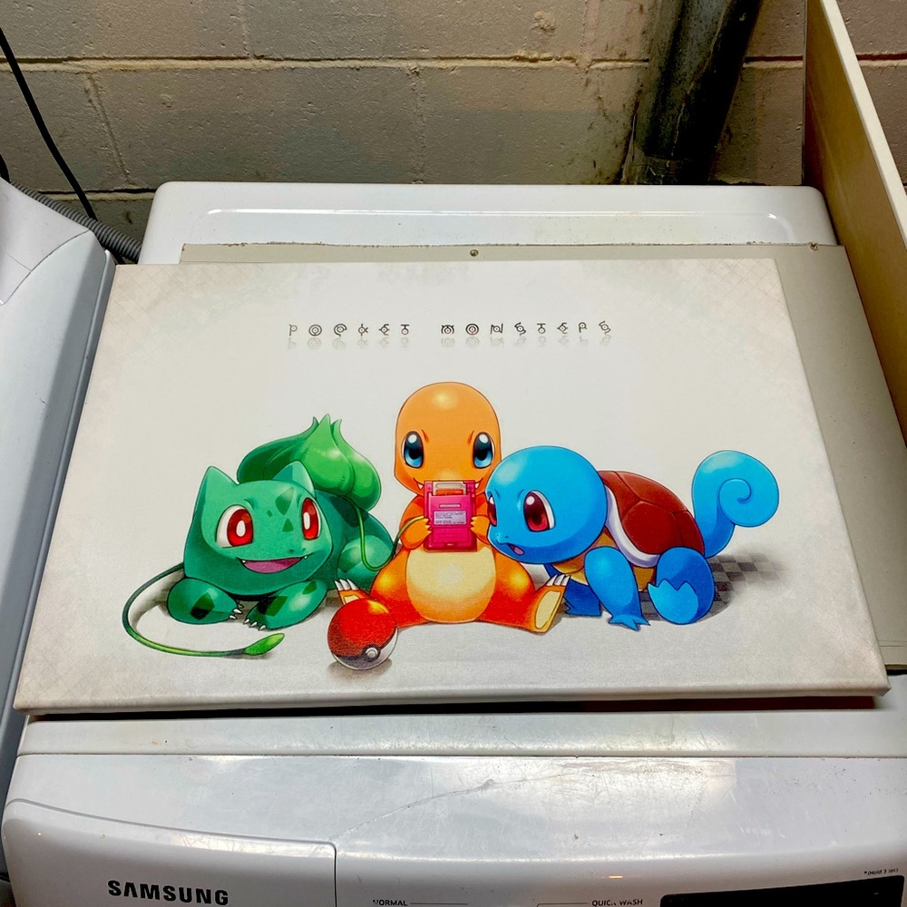 Pokémon Canvas